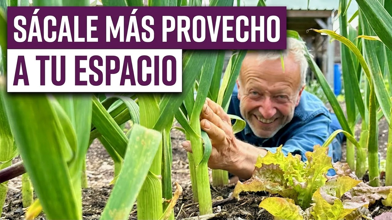 Aprende a espaciar tus plantas de forma eficiente y eficaz con Charles Dowding