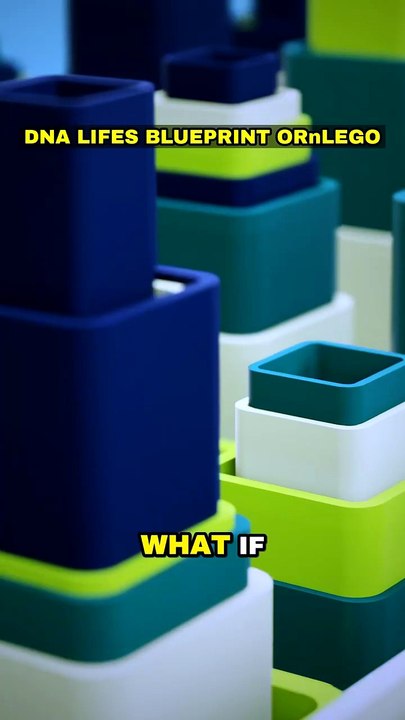 DNA: Life's Blueprint or LEGO? 🧬