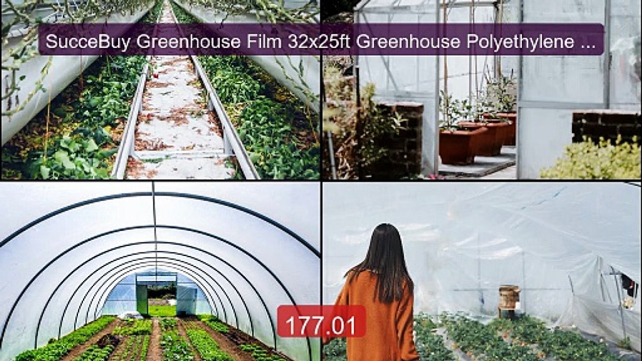 SucceBuy Greenhouse Film 32x25ft Greenhouse Polyethylene Film ... -- Best Buy 2026 | Great Quality!