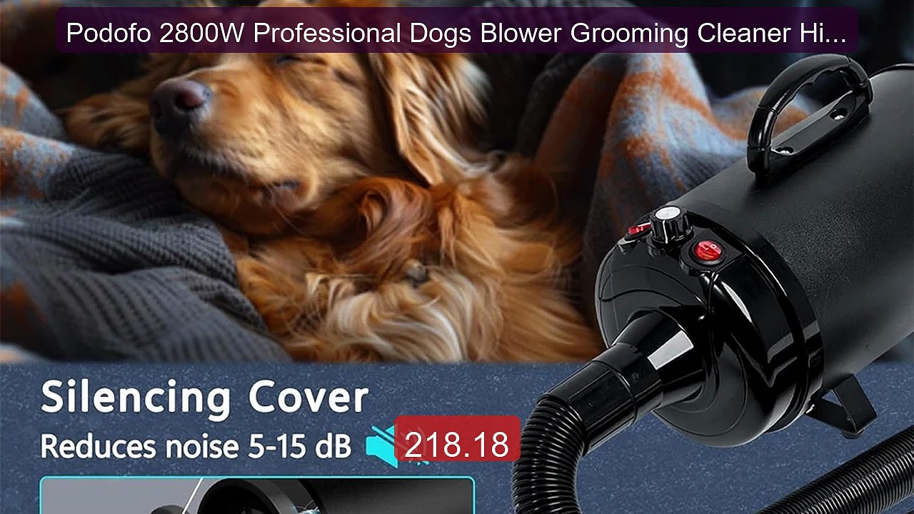 Podofo 2800W Professional Dogs Blower Grooming Cleaner High Veloci... -- Best Deal 2026 | Shop Now!