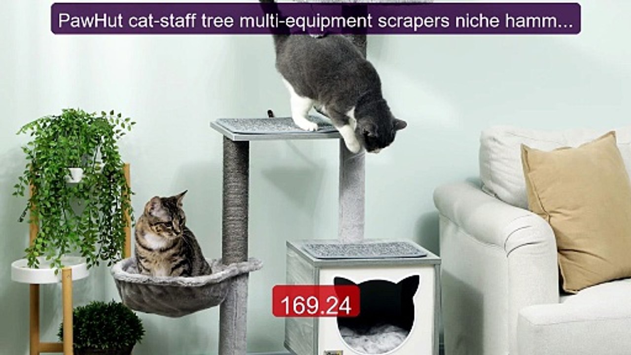 PawHut cat-staff tree multi-equipment scrapers niche hammock ... -- Amazing Value 2026 | Must Have!