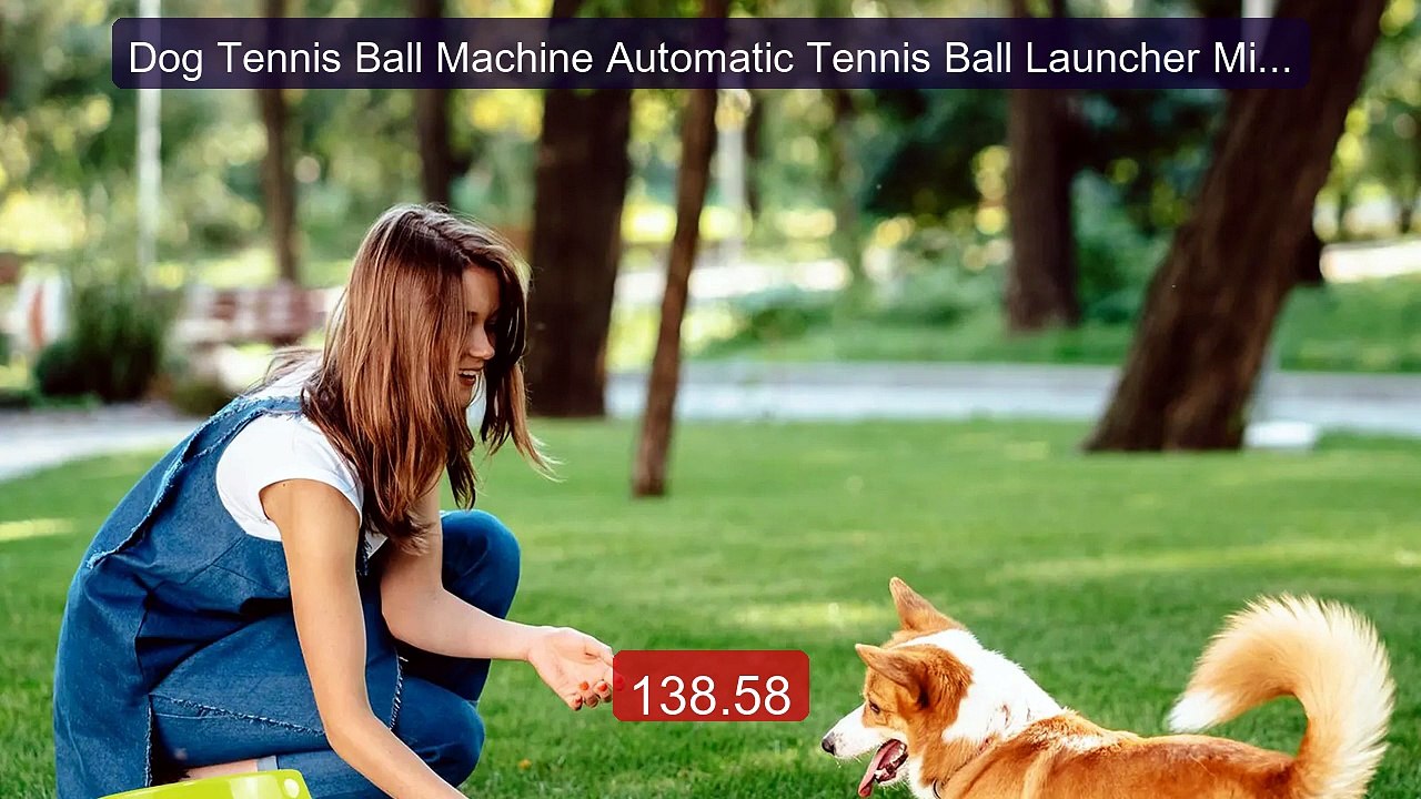 Dog Tennis Ball Machine Automatic Tennis Ball Launcher Mini Tennis ... -- Top Rated 2026 | Buy Now!