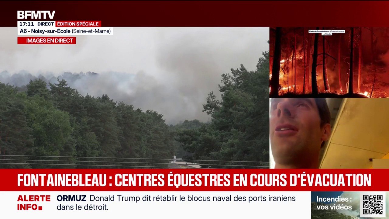 Fontainebleau: "En 37 ans, c'est la première fois que je peux observer ce genre de phénomène", déplore Édouard Fiocre, propriétaire d'écuries en Seine-et-Marne