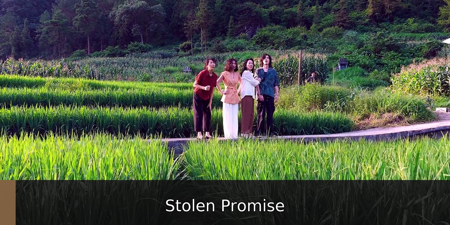 Xiao Fang Gets Married Episode 2 | Stolen Promise