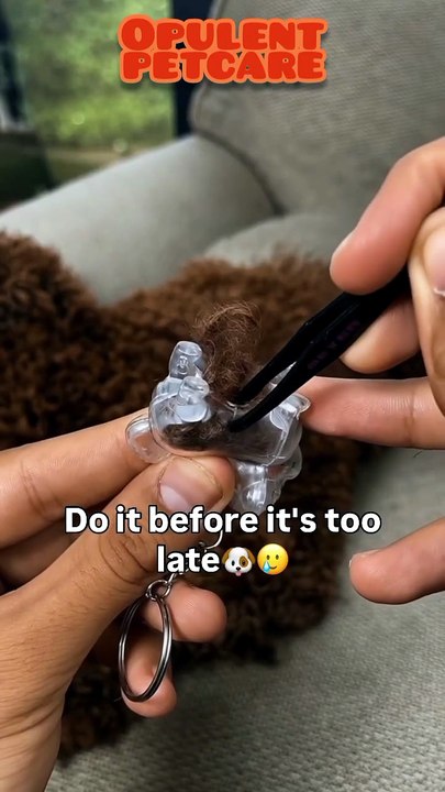 Pet Fur Storage Keychain – Sweet Puppy Charm for Dog Lovers