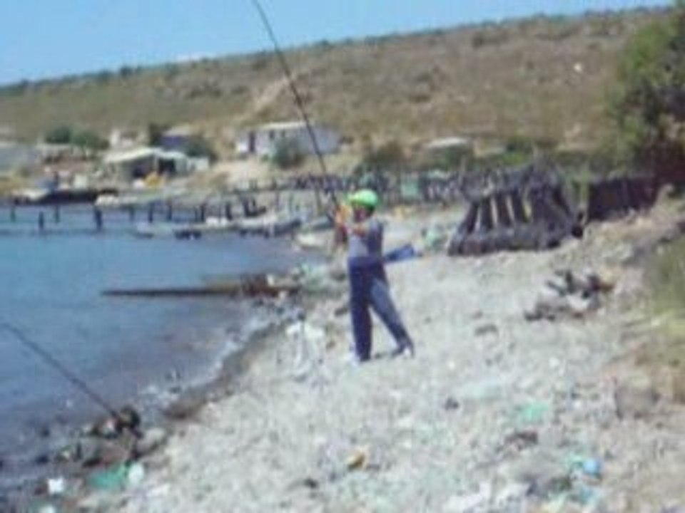 Balıkavı01