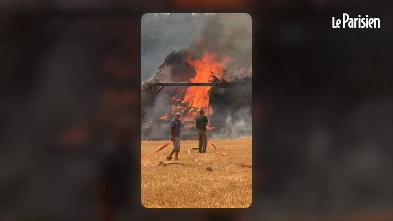 Incendie monstre à Fontainebleau : 1000 hectares de forêt ravagés, du jamais-vu