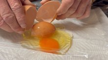 Cracking An Egg Reveals An Unexpected Second Shell