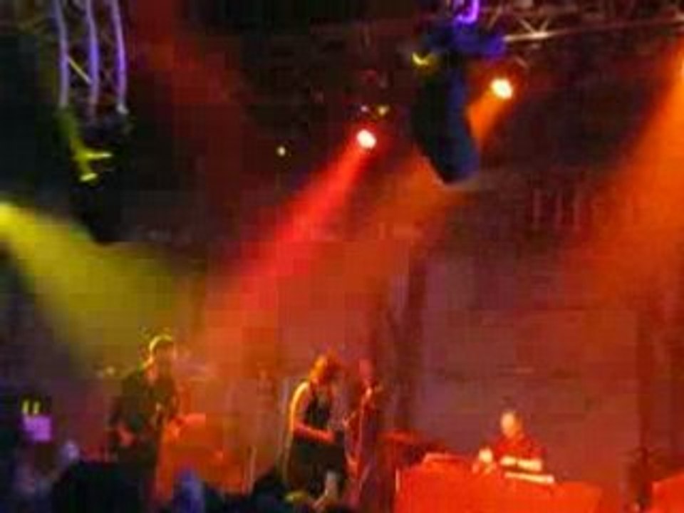 Superlux - Couleur café 2008