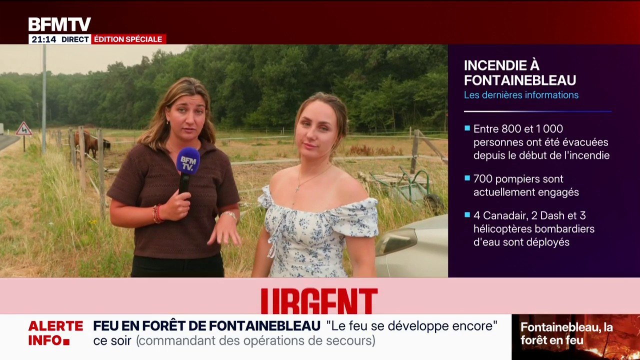 Incendie dans la forêt de Fontainebleau: "On ne peut pas prendre le risque de laisser des animaux", témoigne Cécilia Dubois, habitante qui aide à évacuer des animaux