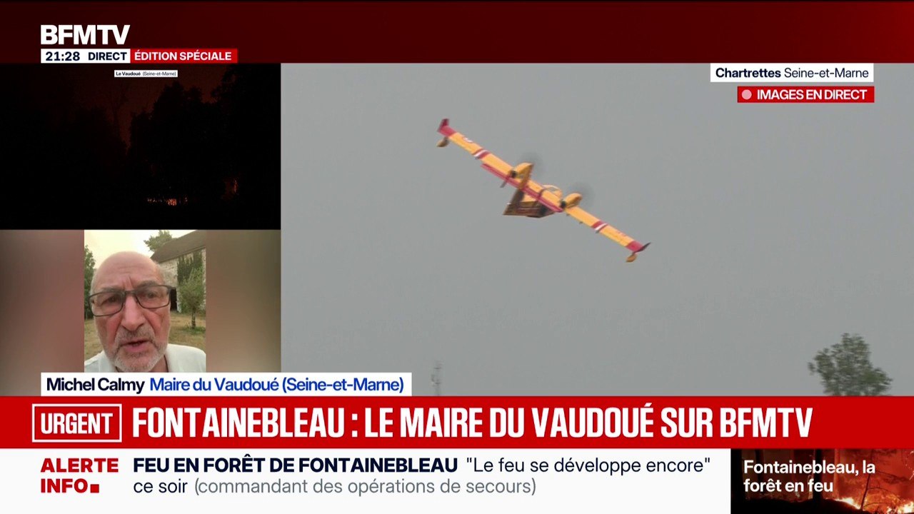 Incendie dans la forêt de Fontainebleau: "On a évacué un foyer sur deux", raconte Michel Calmy, maire du Vaudoué (Seine-et-Marne)