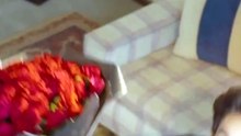 ہم بس یہی پوچھیں گے ، کب تک رہے گی