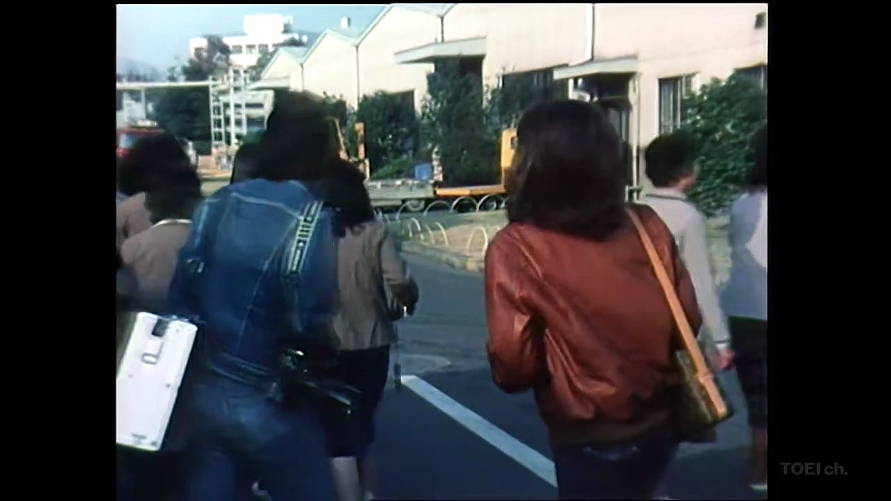 私は怪魚をみた(1981)