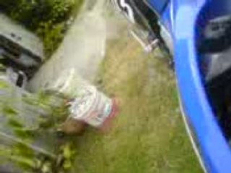 polini d50 yamaha dt