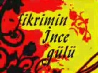 Eylem Koç - Fikrimin ince gülü