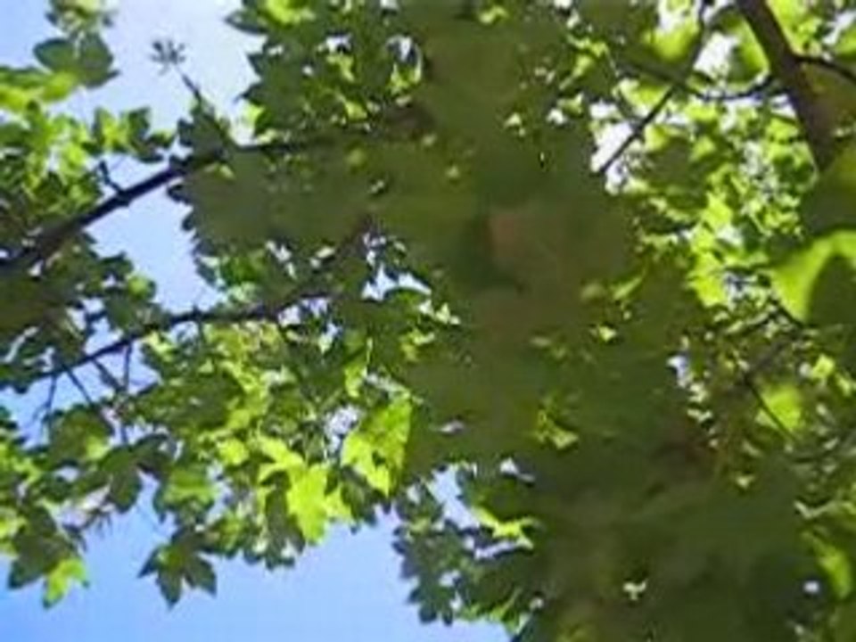 MVI_0056