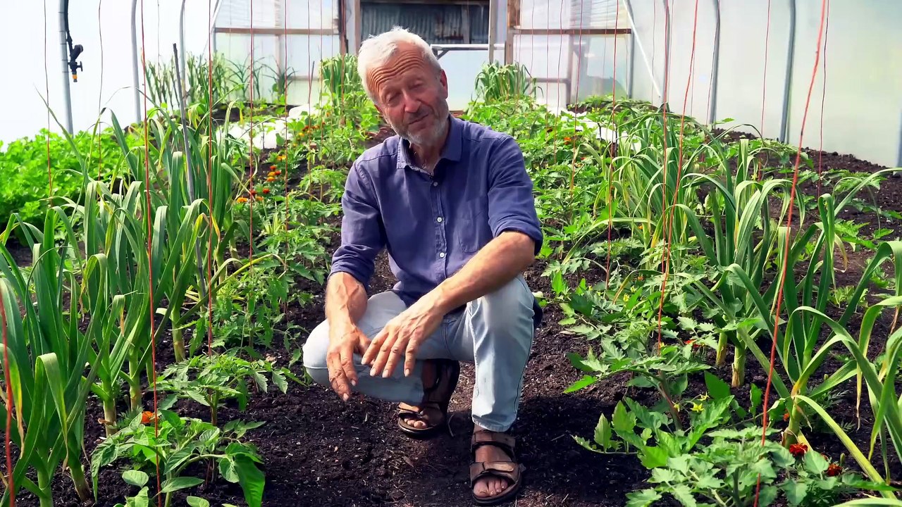 Welcome to Homeacres: A Channel Dedicated to Organic Gardening