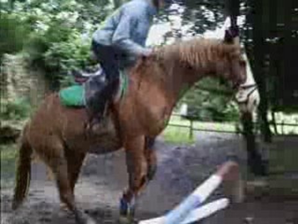 Saut d'obstacle avec Otto et Elisa 3 Juillet 2008