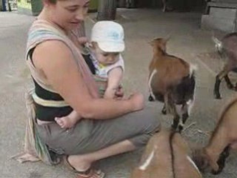 La mini ferme, 25 06 08