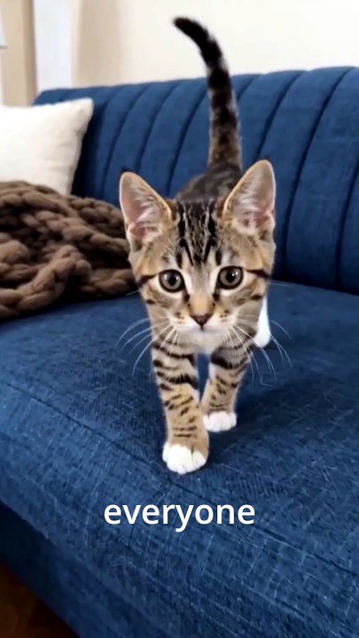 My Kitten Was Raised by Dogs... Now She Barks 🐱🐶