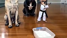 Karate Master vs. The Powder Pit