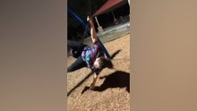 PTR_FAILS_061726_CLEAN_16X9_JB_11.mp4