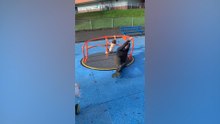 PTR_FAILS_061726_CLEAN_16X9_JB_7.mp4