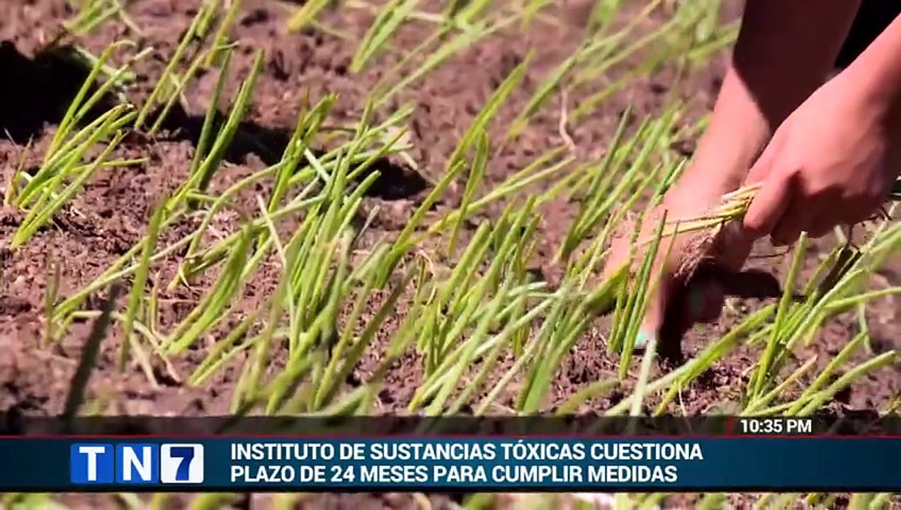 tn7-instituto-de-sustancias-toxicas-cuestiona-plazo-de-24-meses-para-eliminar-insecticida-que-mata-abejas-070426 [Full Movie]