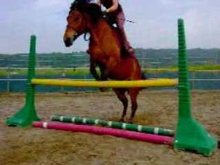 Lili saut d'obstacle