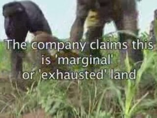 Biofuels and the global food crisis