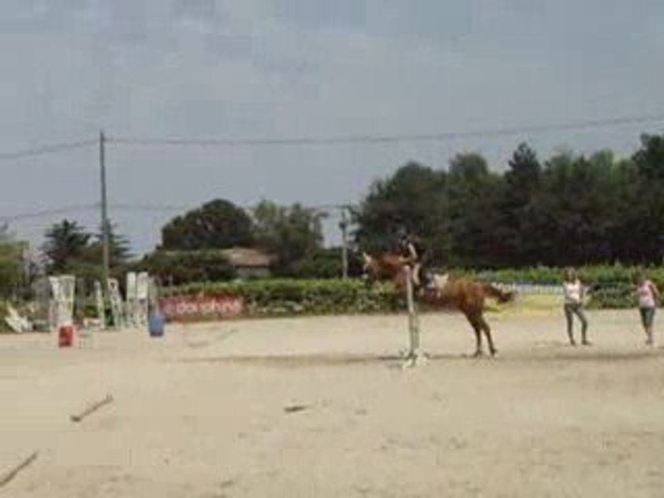 saut d obstacle