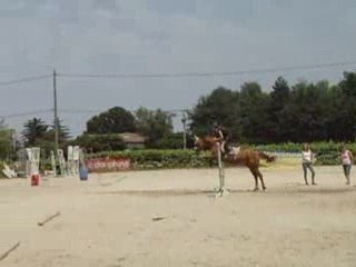 saut d obstacle