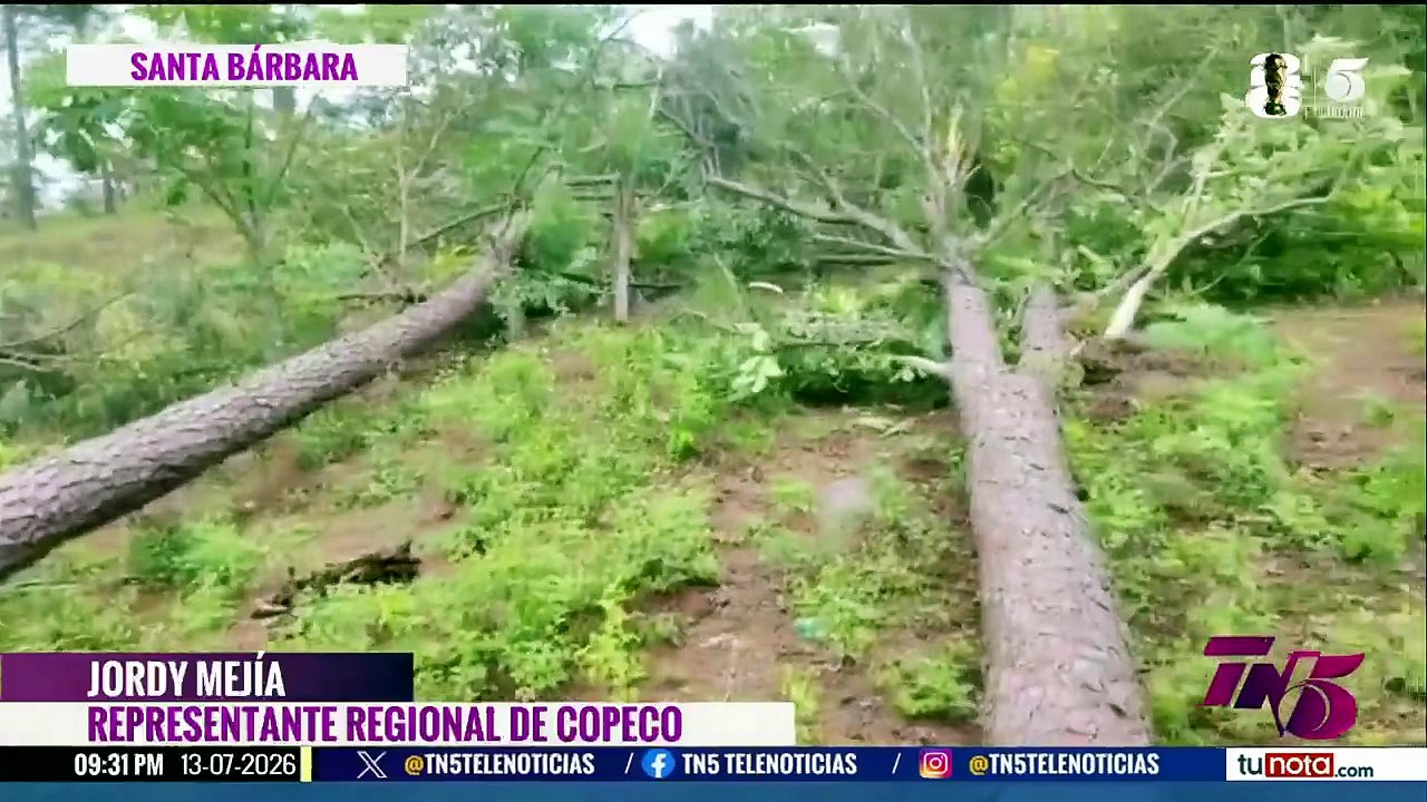 TN5 Estelar - lunes 13 de julio 2026