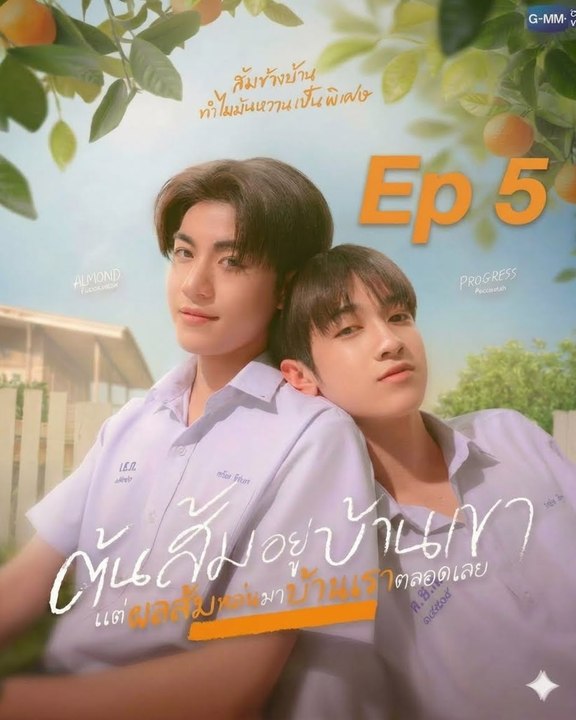 When Oranges .F@ll BL Ep 5 - Shifting Tides And Heart-Racing Moments! Kitkat Drama
