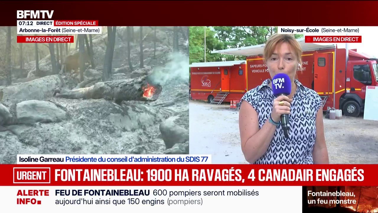 Fontainebleau: "On espère que le feu sera fixé dans la journée", souhaite la présidente du conseil d'administration du SDIS77