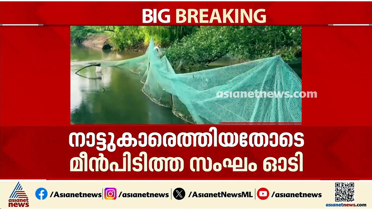 പുഴയിൽ വിഷം കലക്കി മീൻപിടുത്തം; രാമനാട്ടുകരയിൽ മീനുകൾ കൂട്ടത്തോടെ ചത്തു പൊങ്ങി