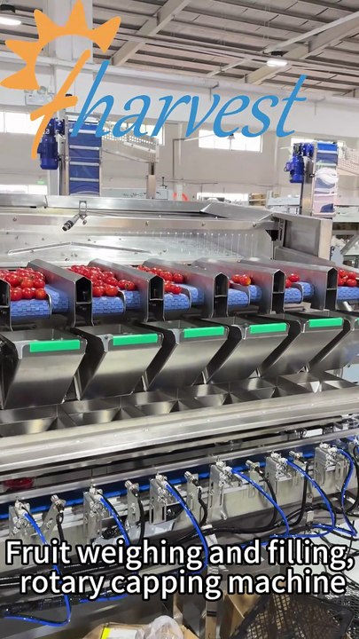 Do you have any recommendations for fruit weighing and filling machines, and rotary dust capping machines?