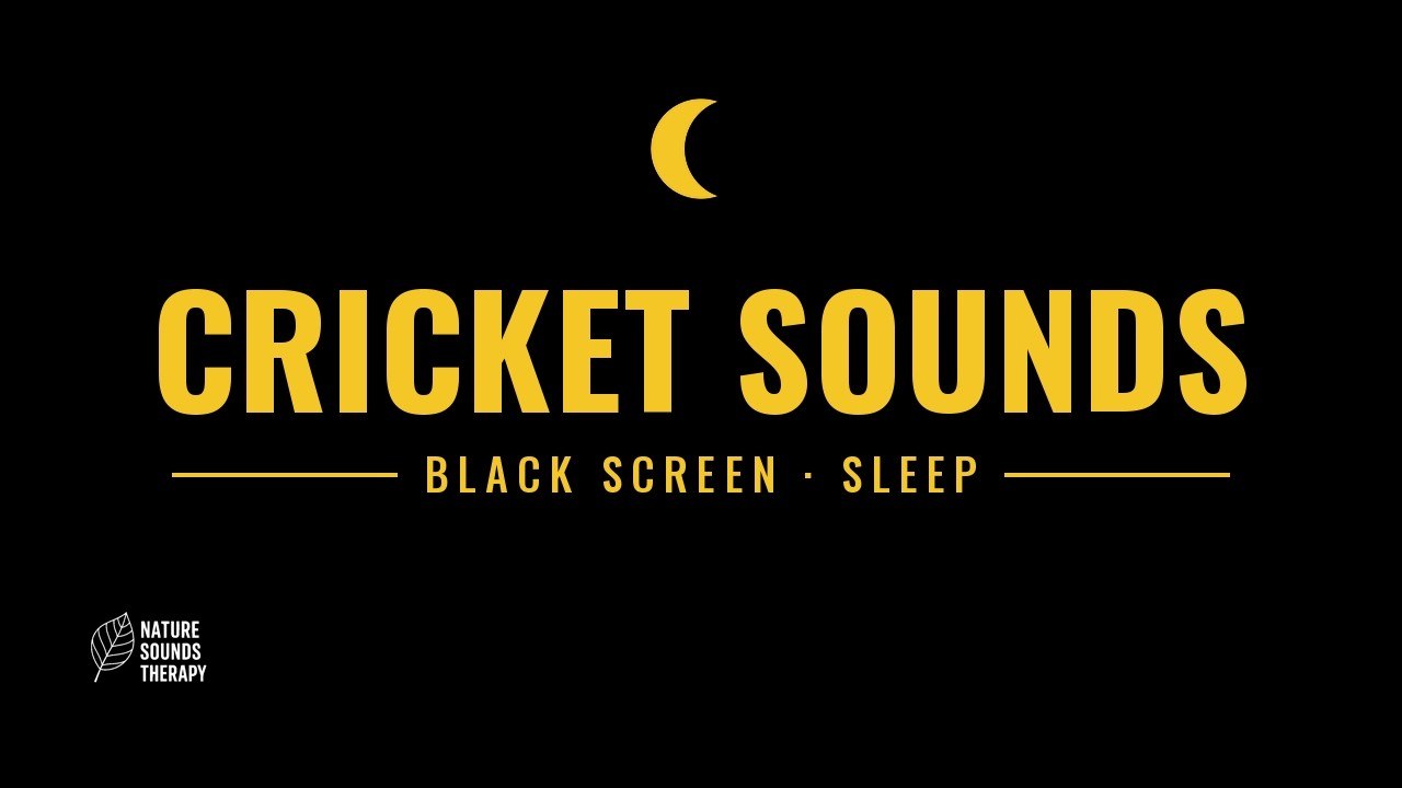Cricket Sounds for Sleep · Open Summer Meadow at Night