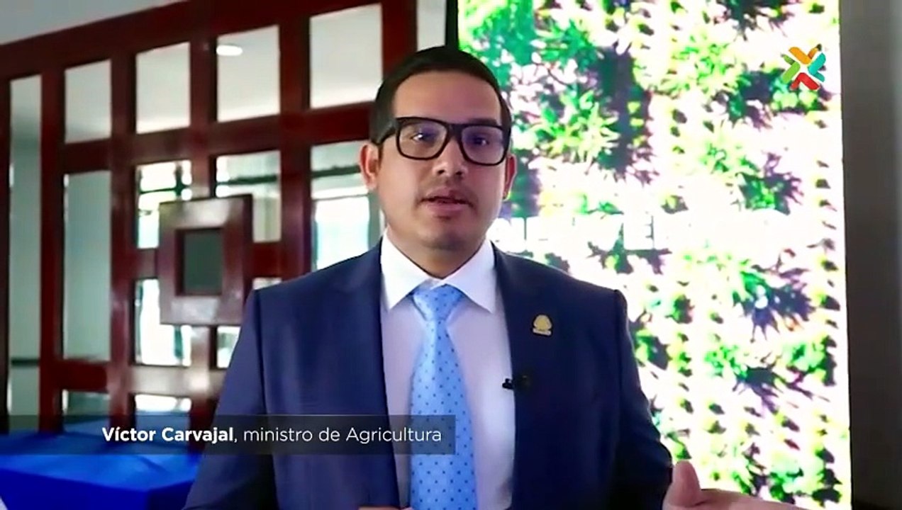 Gobierno celebra fallo de Sala Constitucional sobre fipronil [Full Movie]