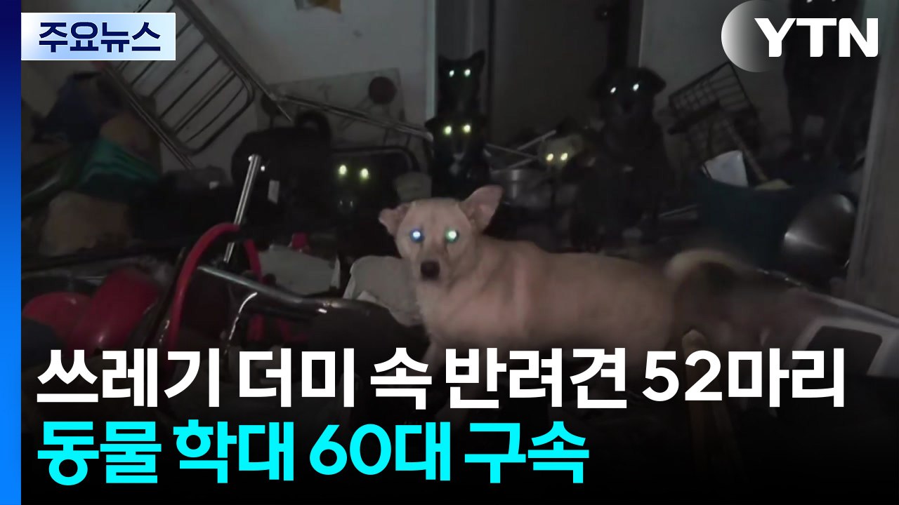 쓰레기 아파트에 반려견 52마리...동물 학대 60대 구속 / YTN