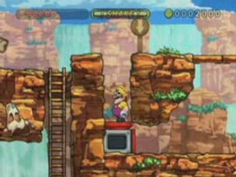Wario Land : The Shake Dimension sur Wii