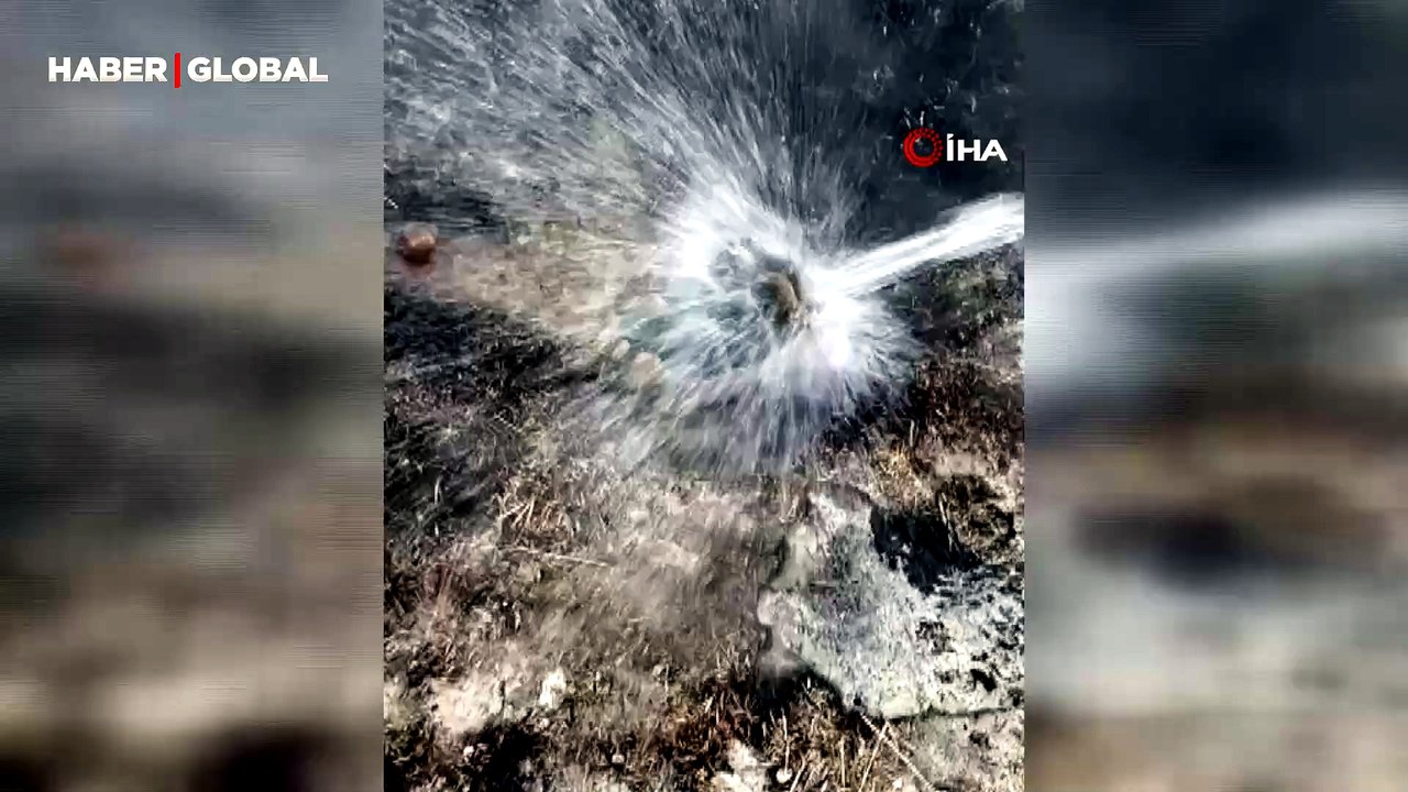 Alevlerin arasından kurtardıkları kaplumbağayı serinlettiler