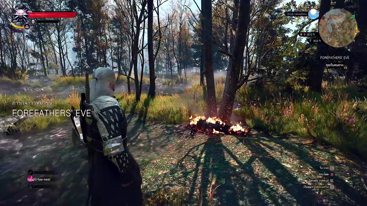 THE WITCHER 3 GAMEPLAY PART 35