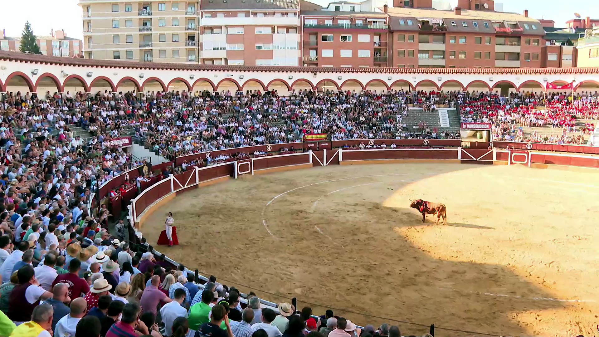 Festejos de Burgos, Soria, Zamora, León, Segovia, Alicante y Algeciras