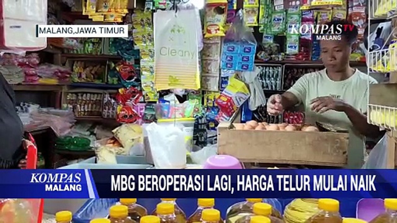 MBG Kembali Beroperasi, Harga Telur Ayam Mulai Naik