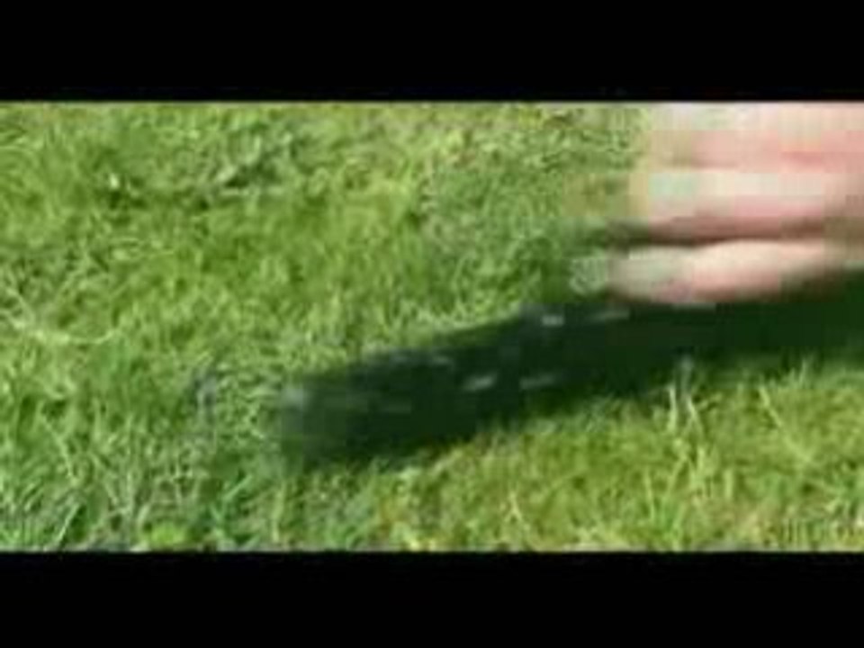 Atlantica_Online_Movies