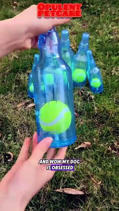 Indestructible Water Bottle Dog Toy – Squeaky & Crunchy Chew Toy for Aggressive Chewers