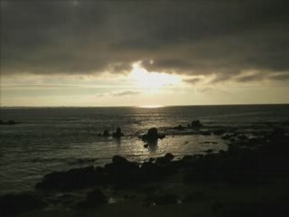 Nighthawk "eye of the tiger "