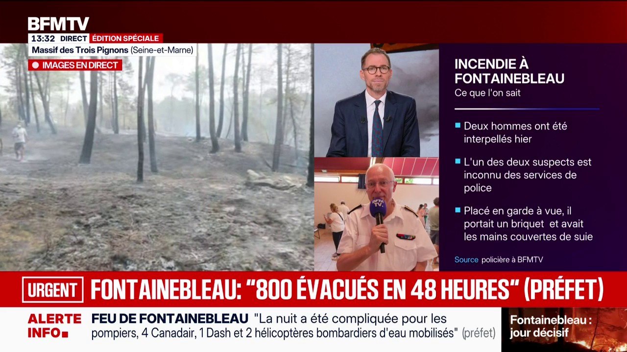 Incendies de Fontainebleau: "la journée est décisive" pour les pompiers, affirme le préfet de Seine-et-Marne