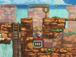 Wario Land Shake It! Ingame